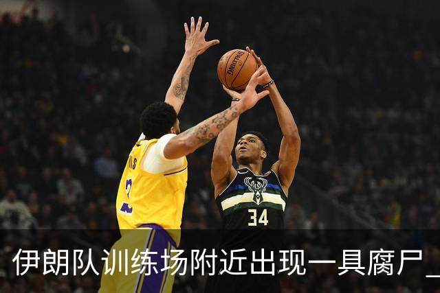 伊朗队训练场附近出现一具腐尸 藏在车辆后备箱+黑袋包裹