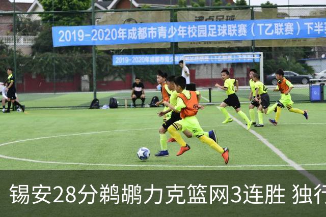 锡安28分鹈鹕力克篮网3连胜 独行侠险胜马刺